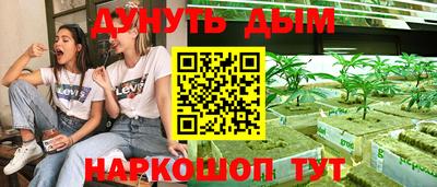 ECSTASY Камышлов