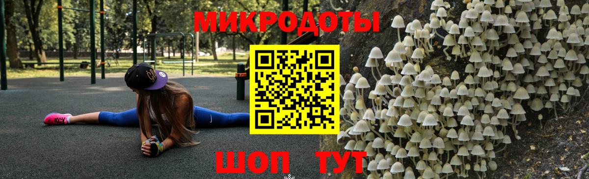 даркнет сайт  Вход с VPN  Стерлитамак  Галлюциногенные грибы ЛСД  Псилоцибиновые грибы мухоморы 